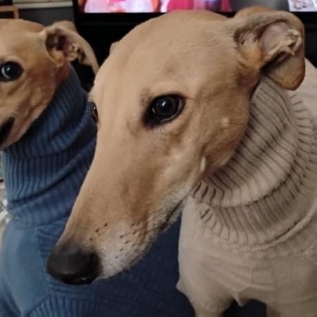 958da59d 16ef 4a08 9a3b 57faab80b98e. cr0,0,500,500 sx460